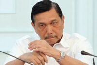 Ilustrasi Luhut Binsar Pandjaitan, Ketua DEN (Foto: Istimewah)
